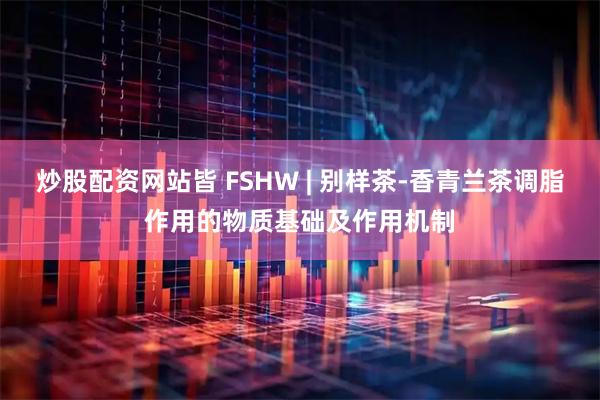 炒股配资网站皆 FSHW | 别样茶-香青兰茶调脂作用的物质基础及作用机制