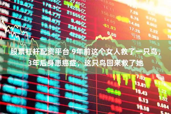 股票杠杆配资平台 9年前这个女人救了一只鸟，3年后身患癌症，这只鸟回来救了她