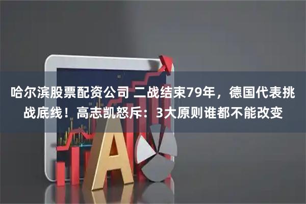 哈尔滨股票配资公司 二战结束79年，德国代表挑战底线！高志凯怒斥：3大原则谁都不能改变